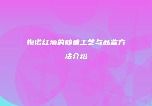 梅诺红酒的酿造工艺与品鉴方法介绍