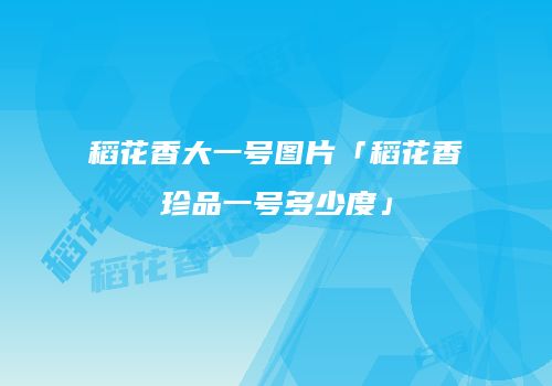稻花香大一号图片「稻花香珍品一号多少度」