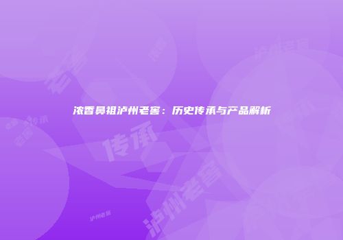 浓香鼻祖泸州老窖：历史传承与产品解析