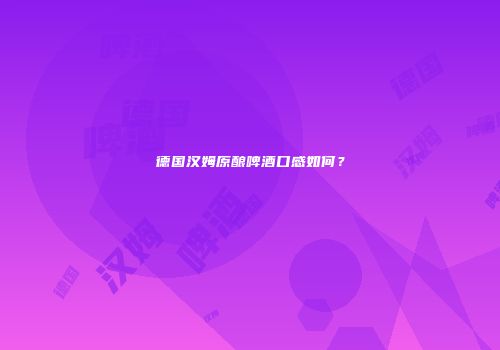 德国汉姆原酿啤酒口感如何？