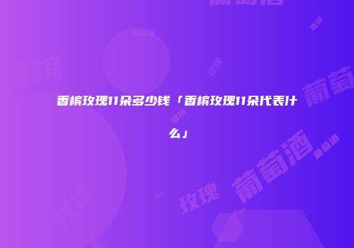 香槟玫瑰11朵多少钱「香槟玫瑰11朵代表什么」