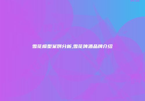 雪花模型案例分析,雪花啤酒品牌介绍