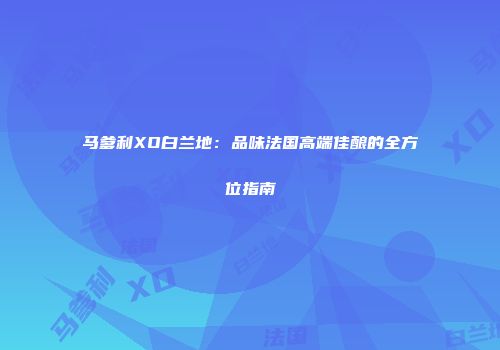 马爹利XO白兰地：品味法国高端佳酿的全方位指南