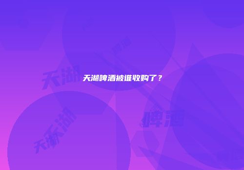 天湖啤酒被谁收购了？