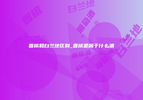 香槟和白兰地区别_香槟是属于什么酒