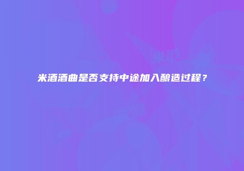 米酒酒曲是否支持中途加入酿造过程？