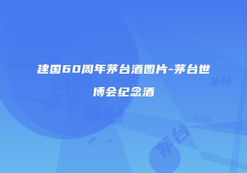 建国60周年茅台酒图片-茅台世博会纪念酒