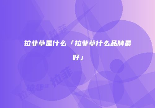 拉菲草是什么「拉菲草什么品牌最好」