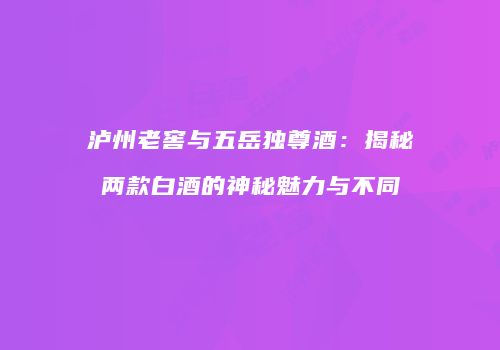 泸州老窖与五岳独尊酒：揭秘两款白酒的神秘魅力与不同