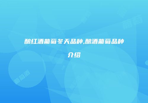 酿红酒葡萄冬天品种,酿酒葡萄品种介绍