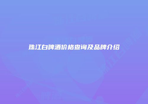 珠江白啤酒价格查询及品牌介绍