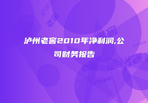 泸州老窖2010年净利润,公司财务报告