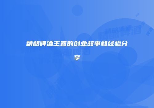 精酿啤酒王睿的创业故事和经验分享