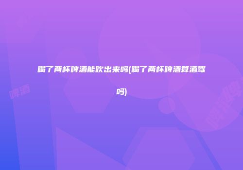 喝了两杯啤酒能吹出来吗(喝了两杯啤酒算酒驾吗)