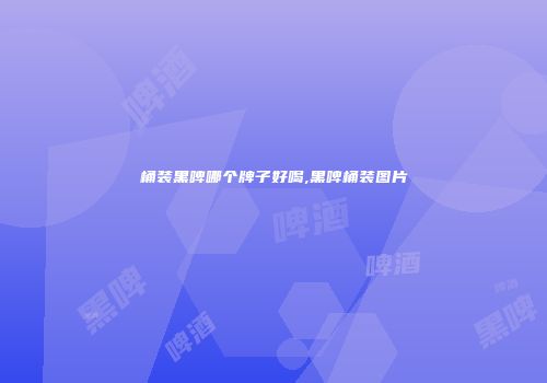 桶装黑啤哪个牌子好喝,黑啤桶装图片