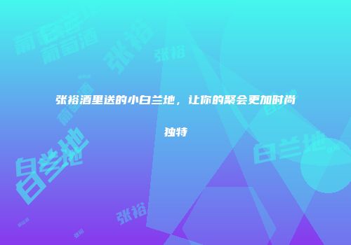 张裕酒里送的小白兰地，让你的聚会更加时尚独特