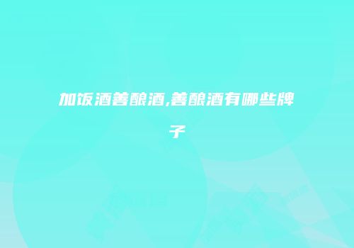 加饭酒善酿酒,善酿酒有哪些牌子