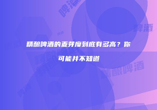 精酿啤酒的麦芽度到底有多高？你可能并不知道