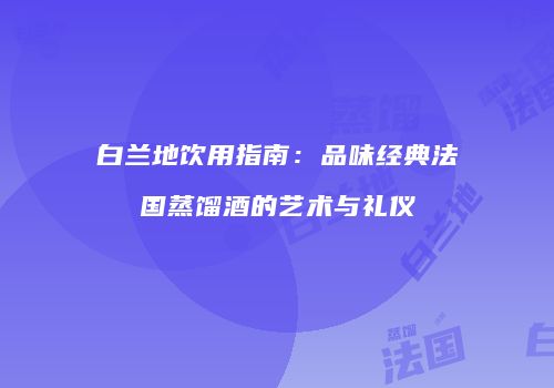白兰地饮用指南：品味经典法国蒸馏酒的艺术与礼仪