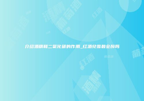 介绍酒精和二氧化碳的作用_红酒兑雪碧会醉吗