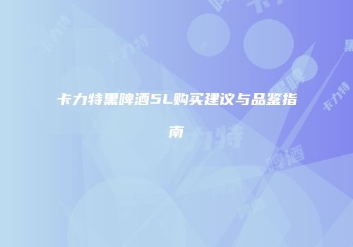 卡力特黑啤酒5L购买建议与品鉴指南