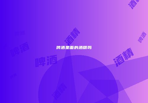 啤酒里面的酒精吗