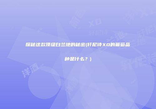 探秘这款顶级白兰地的秘密(轩尼诗XO的葡萄品种是什么？)
