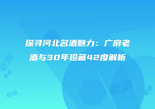 探寻河北名酒魅力：广府老酒与30年珍藏42度解析