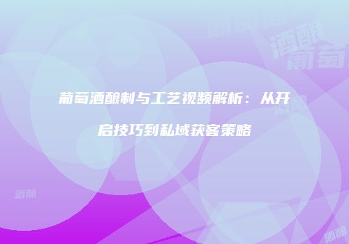葡萄酒酿制与工艺视频解析：从开启技巧到私域获客策略