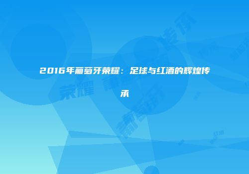 2016年葡萄牙荣耀：足球与红酒的辉煌传承