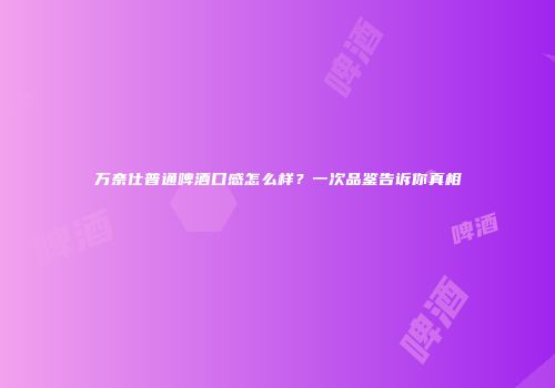 万奈仕普通啤酒口感怎么样？一次品鉴告诉你真相