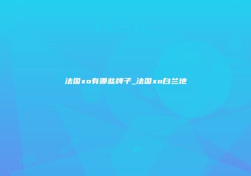法国xo有哪些牌子_法国xo白兰地