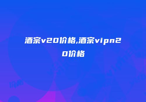 酒宗v20价格,酒宗vipn20价格