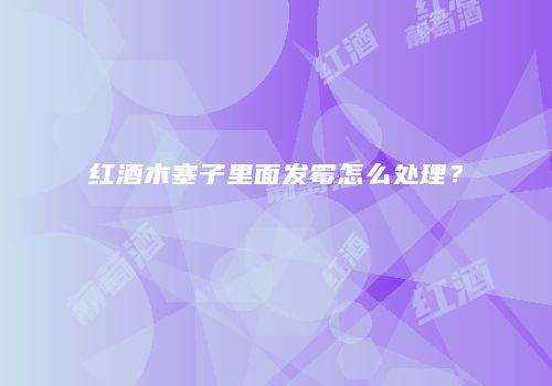 红酒木塞子里面发霉怎么处理？