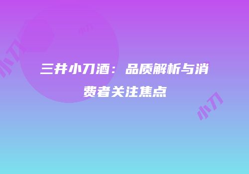 三井小刀酒：品质解析与消费者关注焦点
