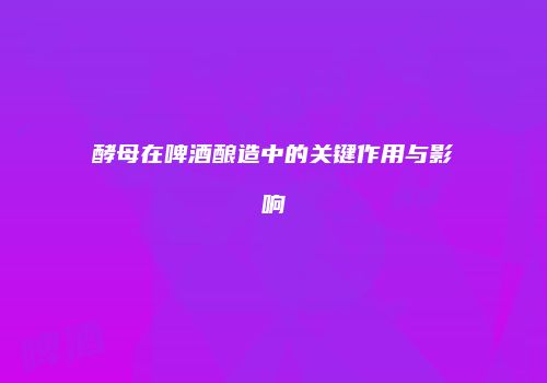 酵母在啤酒酿造中的关键作用与影响