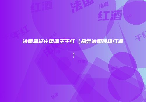 法国黑轩庄园国王干红（品尝法国顶级红酒）