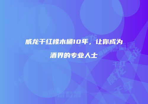 威龙干红橡木桶10年，让你成为酒界的专业人士