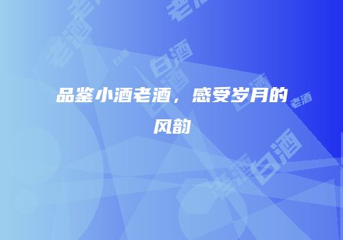 品鉴小酒老酒，感受岁月的风韵