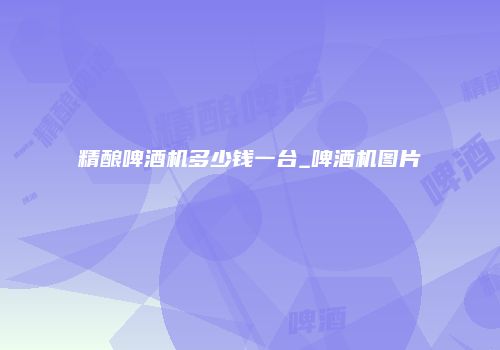 精酿啤酒机多少钱一台_啤酒机图片