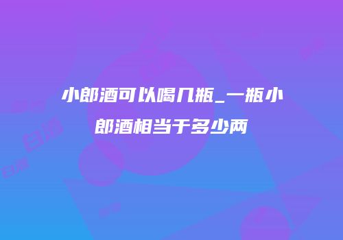 小郎酒可以喝几瓶_一瓶小郎酒相当于多少两
