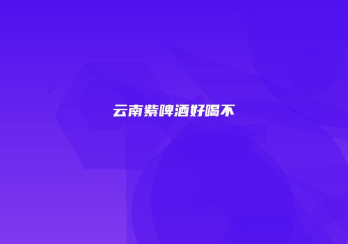 云南紫啤酒好喝不