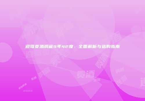 迎驾贡酒洞藏9年42度：全面解析与选购指南