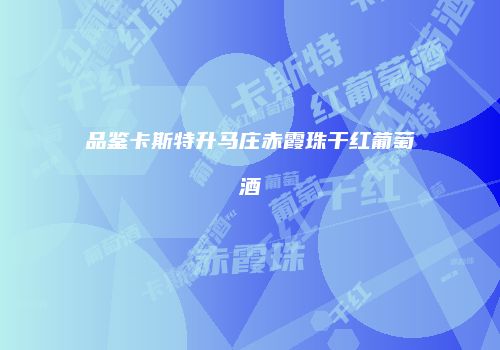品鉴卡斯特升马庄赤霞珠干红葡萄酒