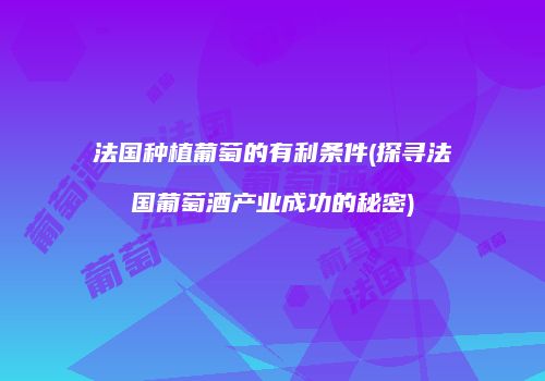 法国种植葡萄的有利条件(探寻法国葡萄酒产业成功的秘密)