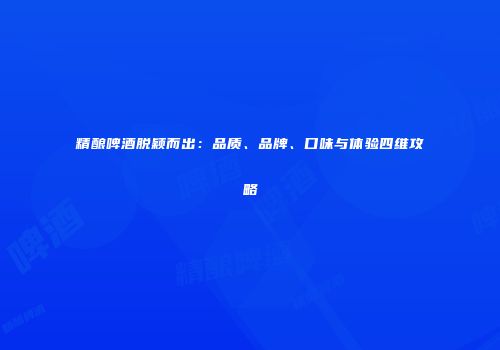 精酿啤酒脱颖而出：品质、品牌、口味与体验四维攻略