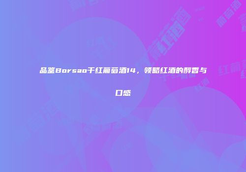 品鉴Borsao干红葡萄酒14，领略红酒的醇香与口感