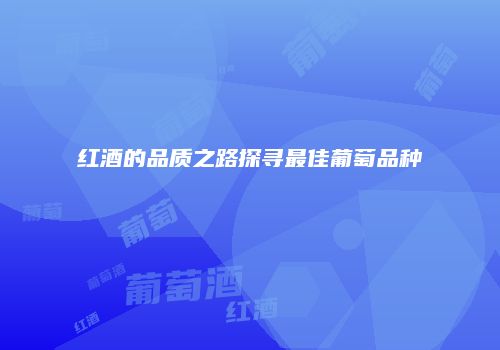 红酒的品质之路探寻最佳葡萄品种