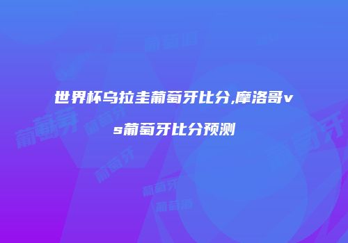 世界杯乌拉圭葡萄牙比分,摩洛哥vs葡萄牙比分预测