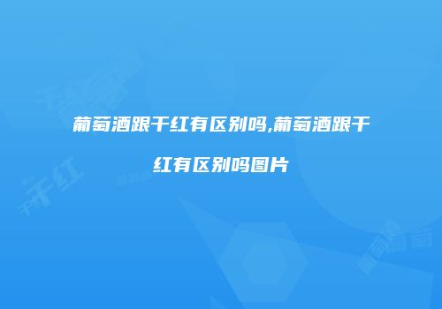 葡萄酒跟干红有区别吗,葡萄酒跟干红有区别吗图片
